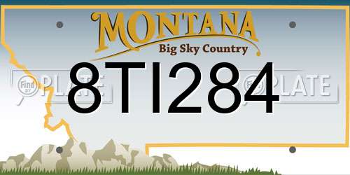 8TI284 Montana License Plate