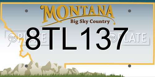 8TL137 Montana License Plate