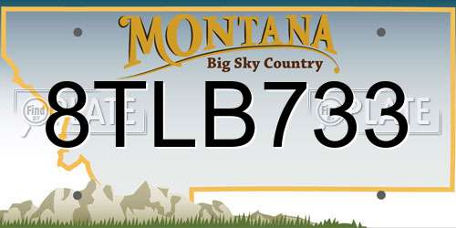 8TLB733 Montana License Plate