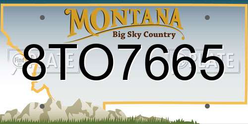 8TO7665 Montana License Plate