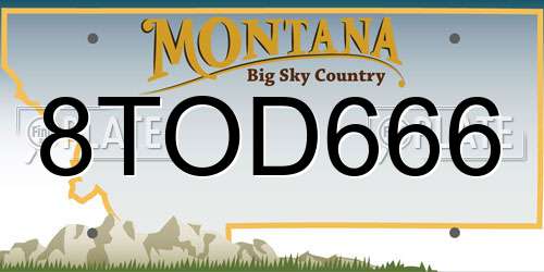 8TOD666 Montana License Plate