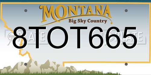 8TOT665 Montana License Plate