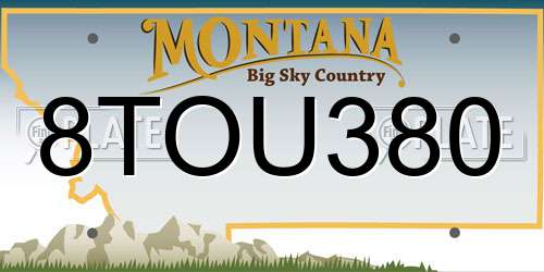 8TOU380 Montana License Plate
