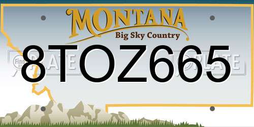 8TOZ665 Montana License Plate