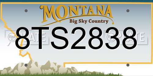8TS2838 Montana License Plate