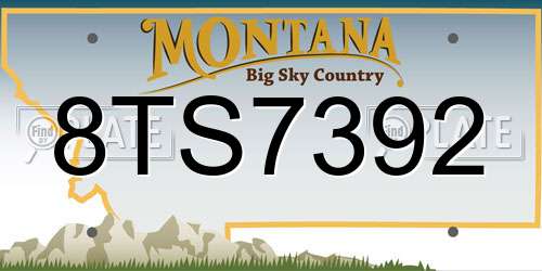 8TS7392 Montana License Plate