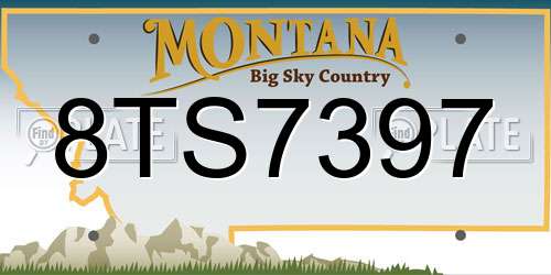 8TS7397 Montana License Plate