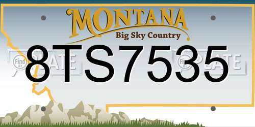 8TS7535 Montana License Plate