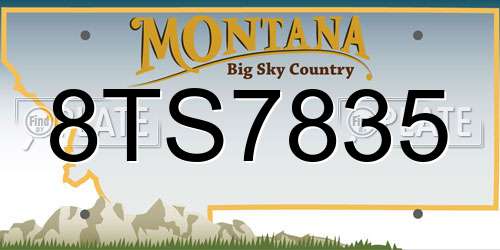 8TS7835 Montana License Plate
