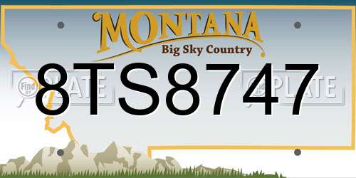 8TS8747 Montana License Plate