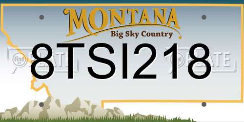 8TSI218 Montana License Plate