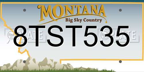 8TST535 Montana License Plate