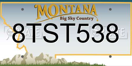 8TST538 Montana License Plate