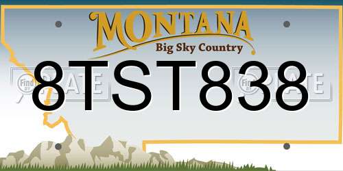 8TST838 Montana License Plate