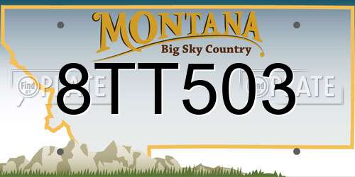 8TT503 Montana License Plate