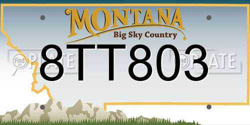 8TT803 Montana License Plate