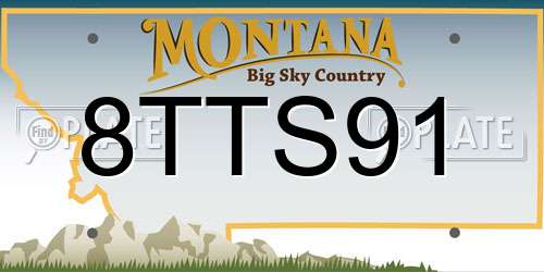 8TTS91 Montana License Plate