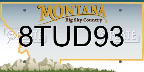 8TUD93 Montana License Plate