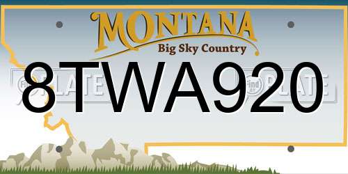 8TWA920 Montana License Plate