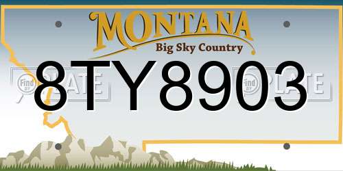 8TY8903 Montana License Plate