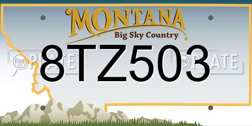 8TZ503 Montana License Plate