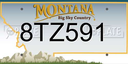 8TZ591 Montana License Plate
