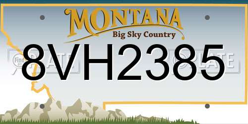 8VH2385 Montana License Plate