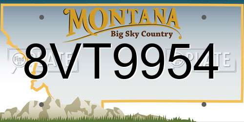 8VT9954 Montana License Plate