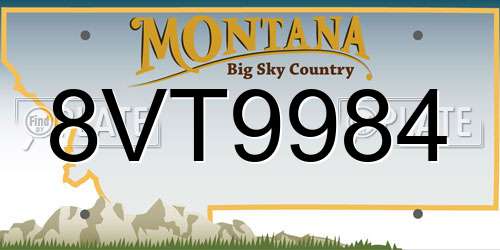 8VT9984 Montana License Plate