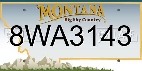 8WA3143 Montana License Plate