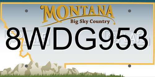 8WDG953 Montana License Plate