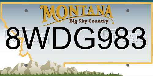 8WDG983 Montana License Plate