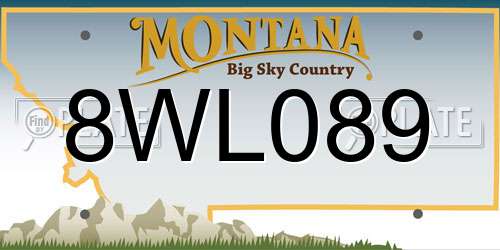 8WL089 Montana License Plate