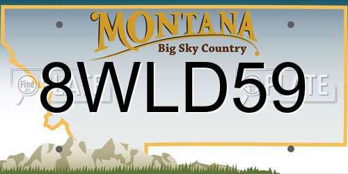 8WLD59 Montana License Plate