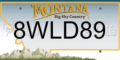 8WLD89 Montana License Plate