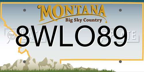 8WLO89 Montana License Plate