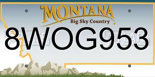 8WOG953 Montana License Plate