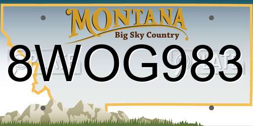 8WOG983 Montana License Plate
