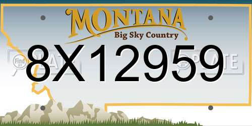 8X12959 Montana License Plate