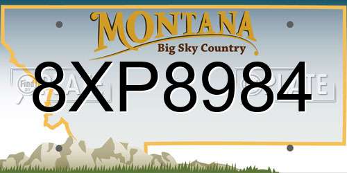 8XP8984 Montana License Plate