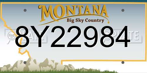 8Y22984 Montana License Plate