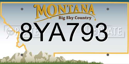 8YA793 Montana License Plate