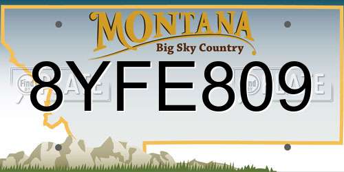 8YFE809 Montana License Plate