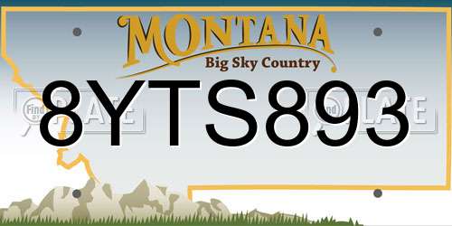 8YTS893 Montana License Plate