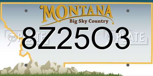 8Z25O3 Montana License Plate