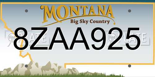 8ZAA925 Montana License Plate