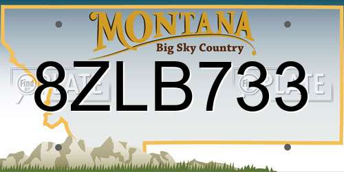 8ZLB733 Montana License Plate