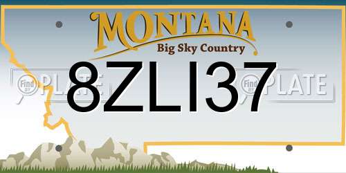 8ZLI37 Montana License Plate