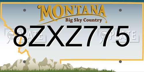 8ZXZ775 Montana License Plate