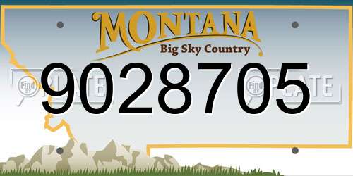 9028705 Montana License Plate